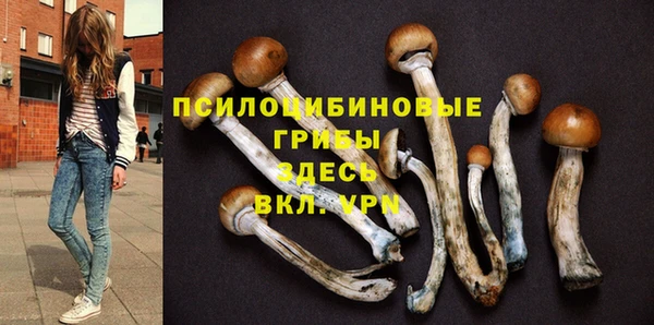 скорость Арсеньев