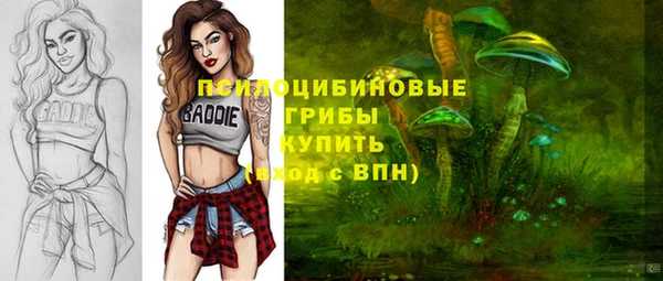 spice Баксан
